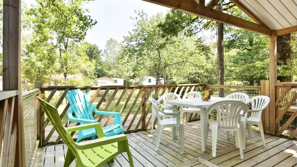 490515569 1210533301073893 4303524448716744306 n