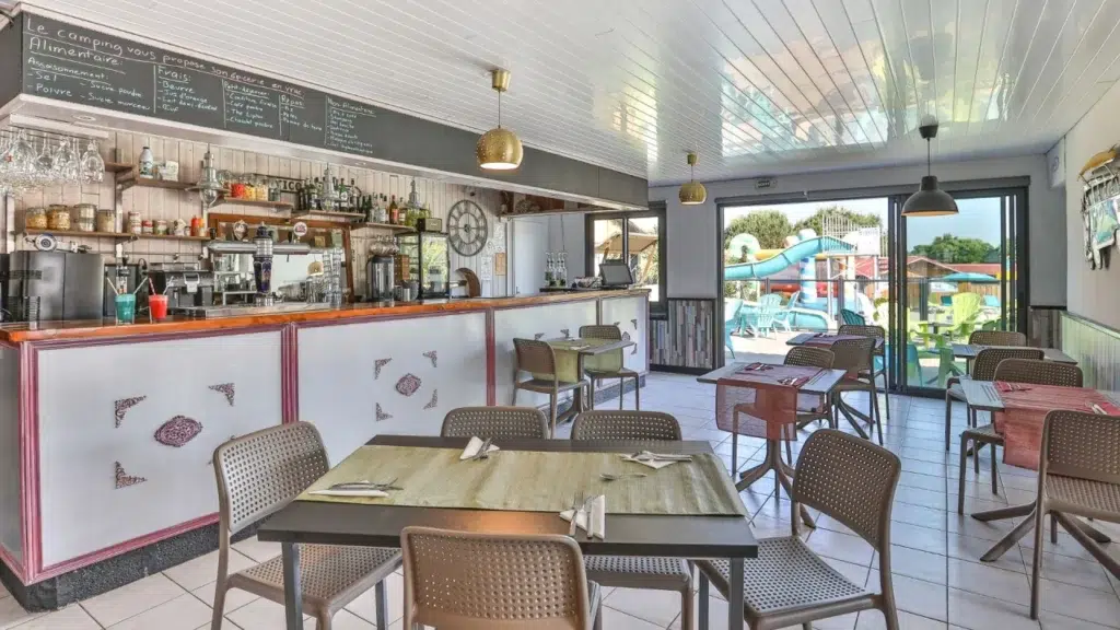 491402403 1211511004309456 8726488719025911471 n