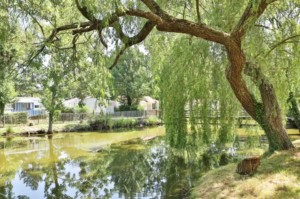 Le Parc de la Greve ETANG 13 07.06.01