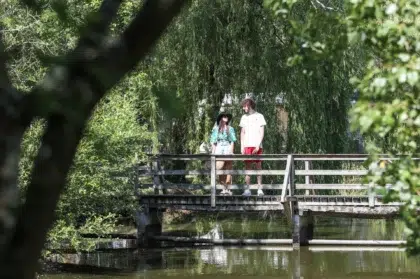 Bien choisir son camping 4 Le Parc de la Greve ETANG 2 07.06.01