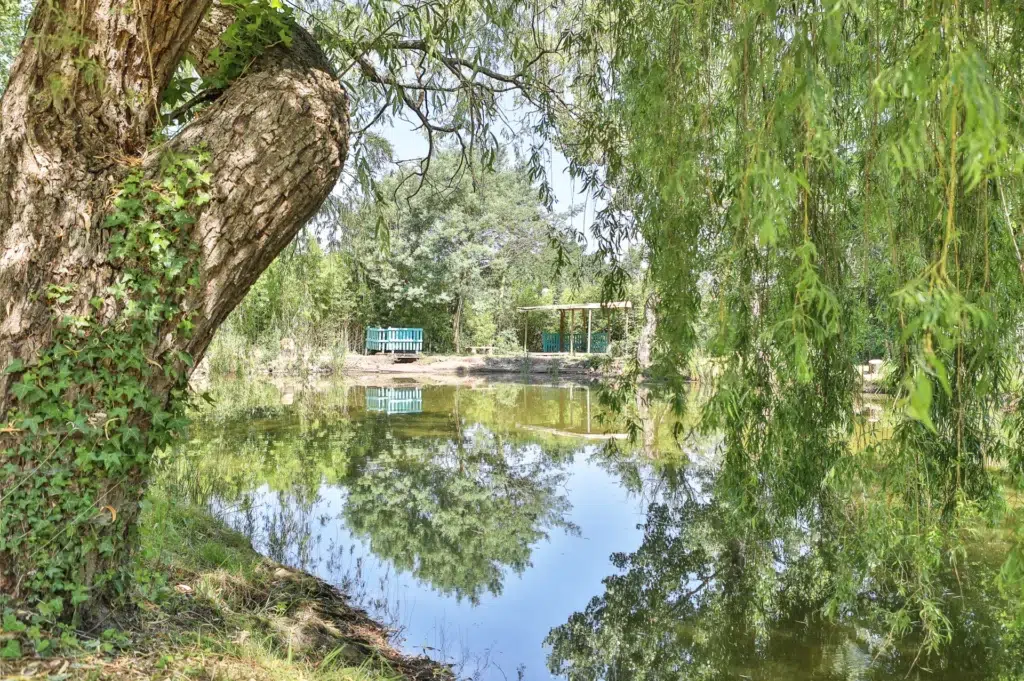 Le Parc de la Greve ETANG 6 07.06.01