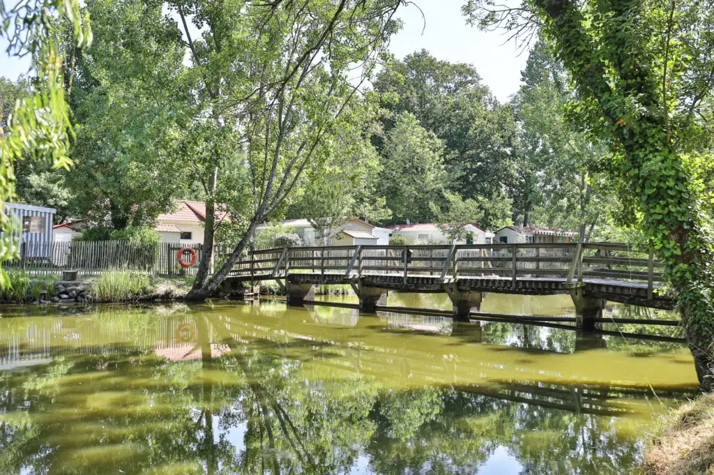 Le Parc de la Greve ETANG 7 07.06.01