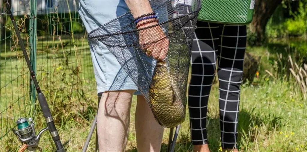 photo 637833898120798654 2