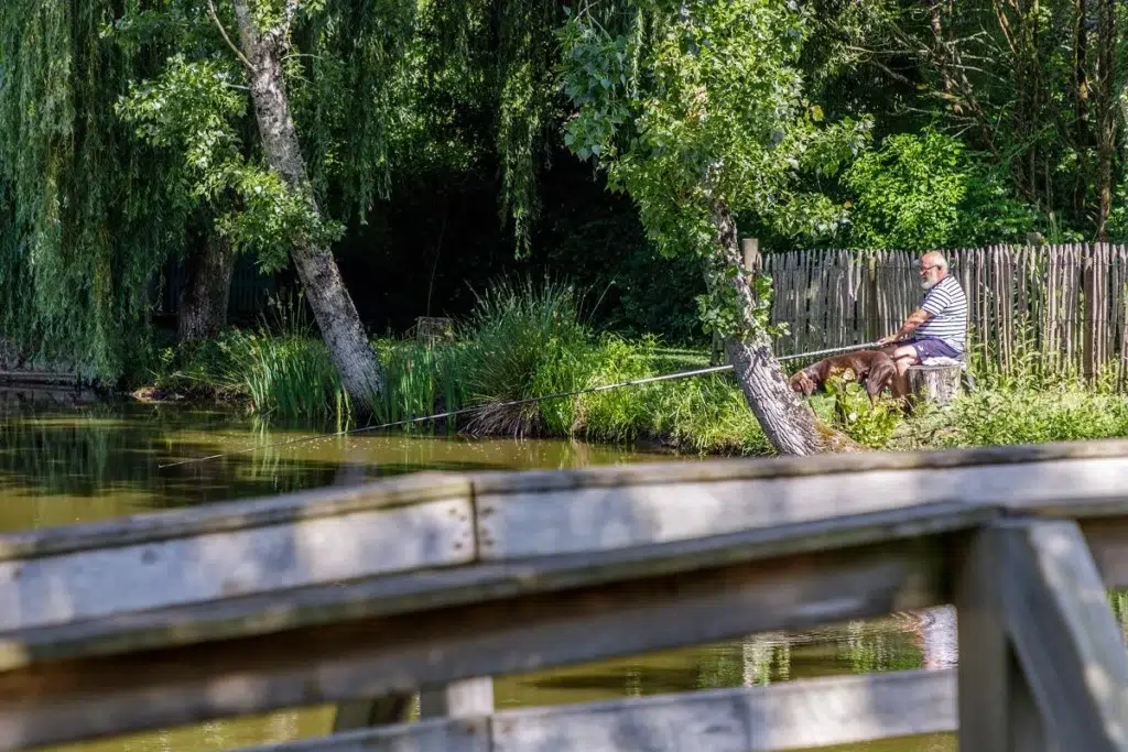 photo 637833898805819785 2